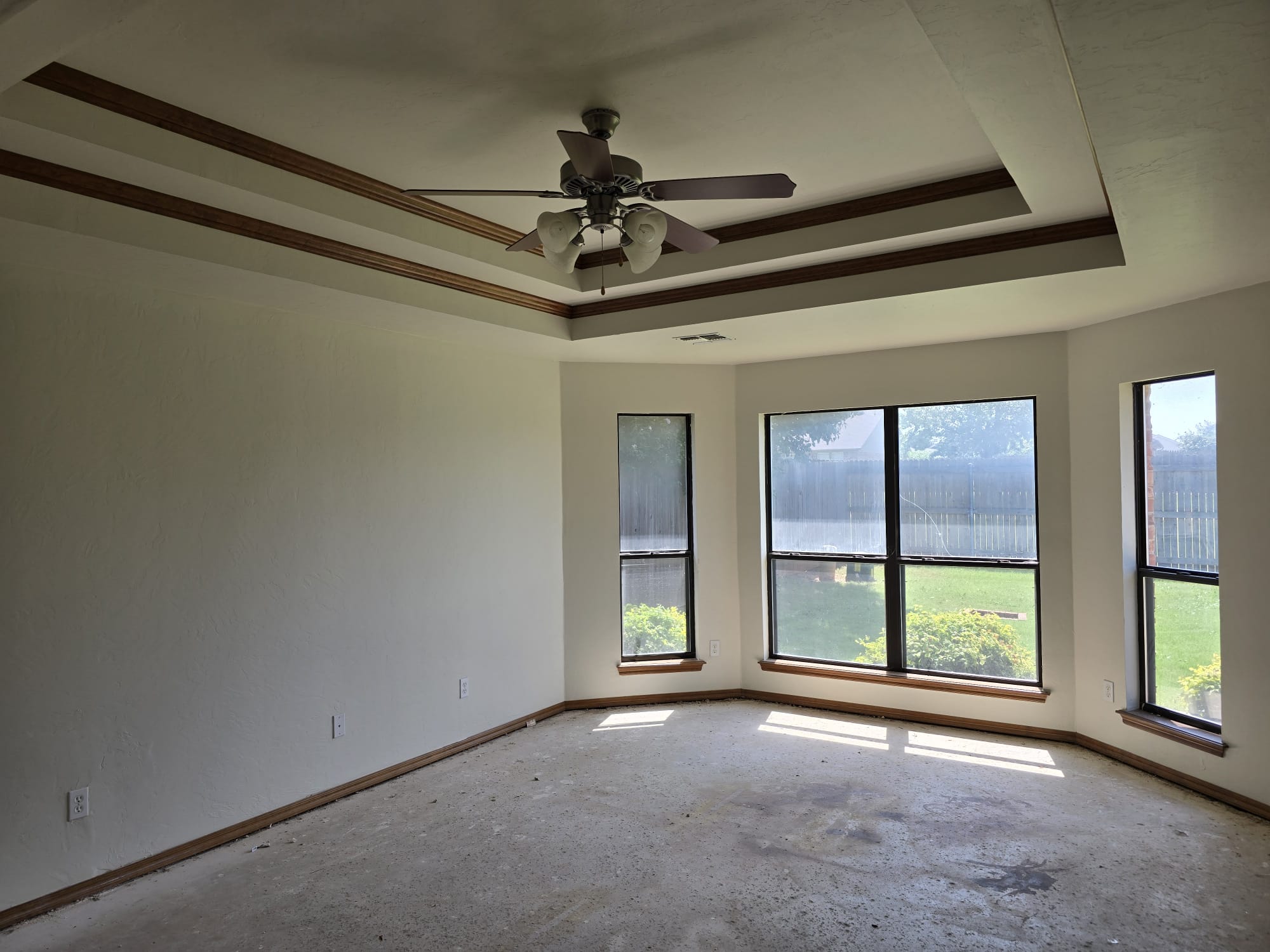 Tray Ceiling Living Room